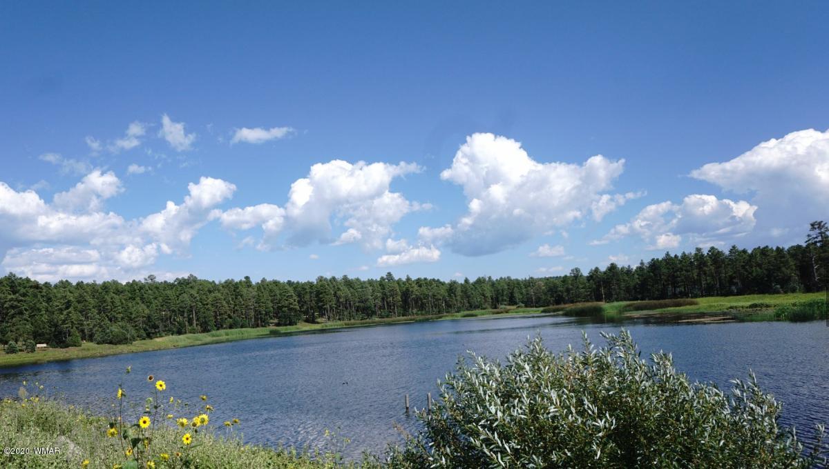 Tbd West Tbd W Woodland Lake Road Pinetop, AZ 85935 - Photo 12 of 13
