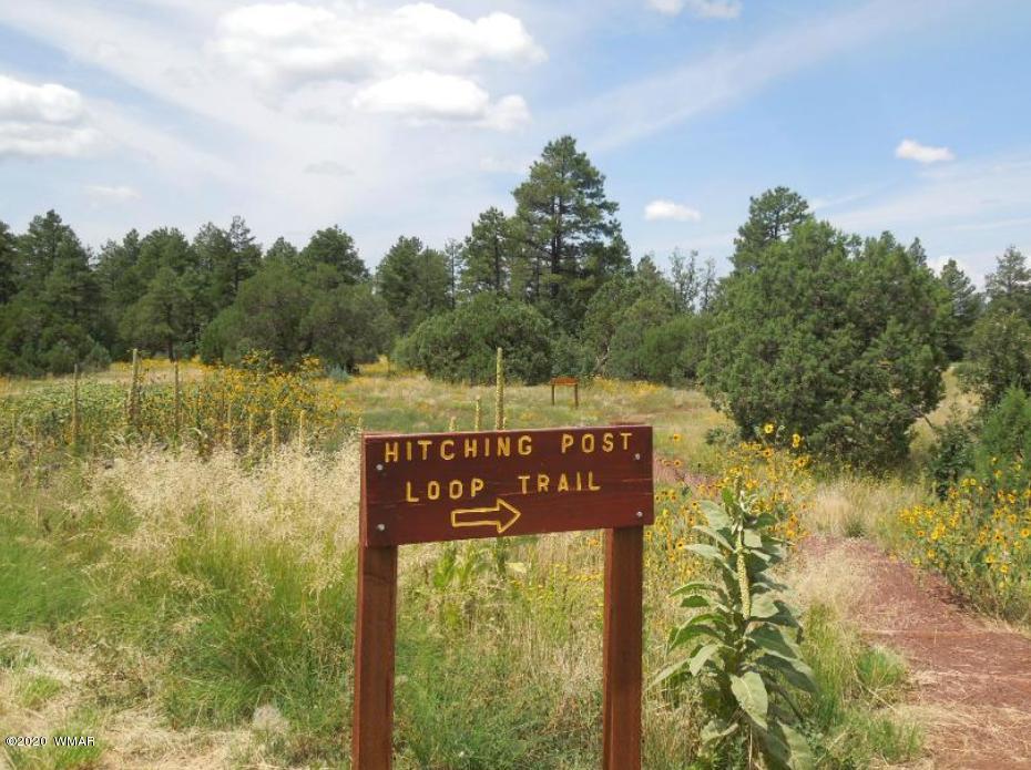 Tbd West Tbd W Woodland Lake Road Pinetop, AZ 85935 - Photo 13 of 13