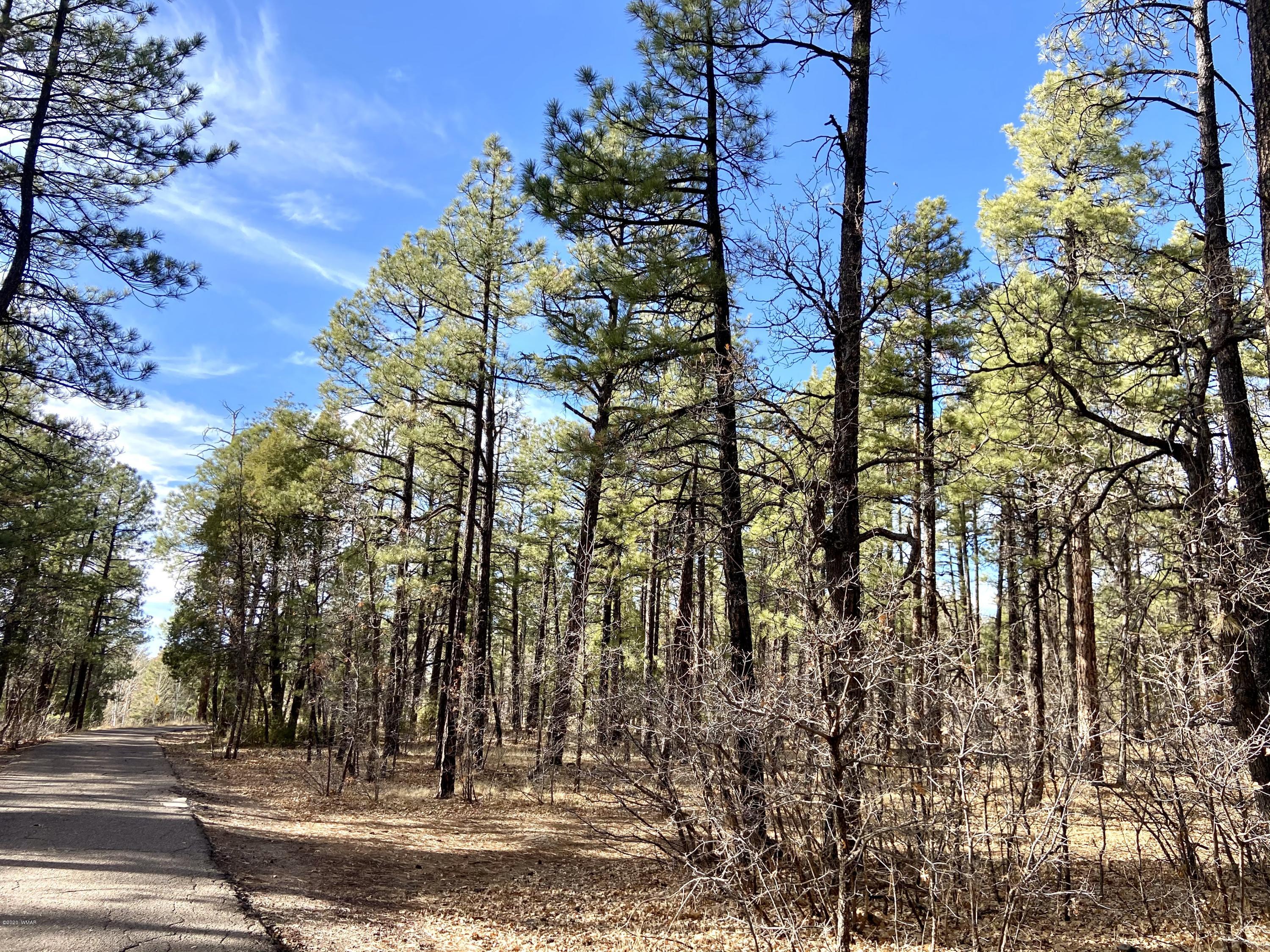 Tbd West Tbd W Woodland Lake Road Pinetop, AZ 85935 - Photo 2 of 13