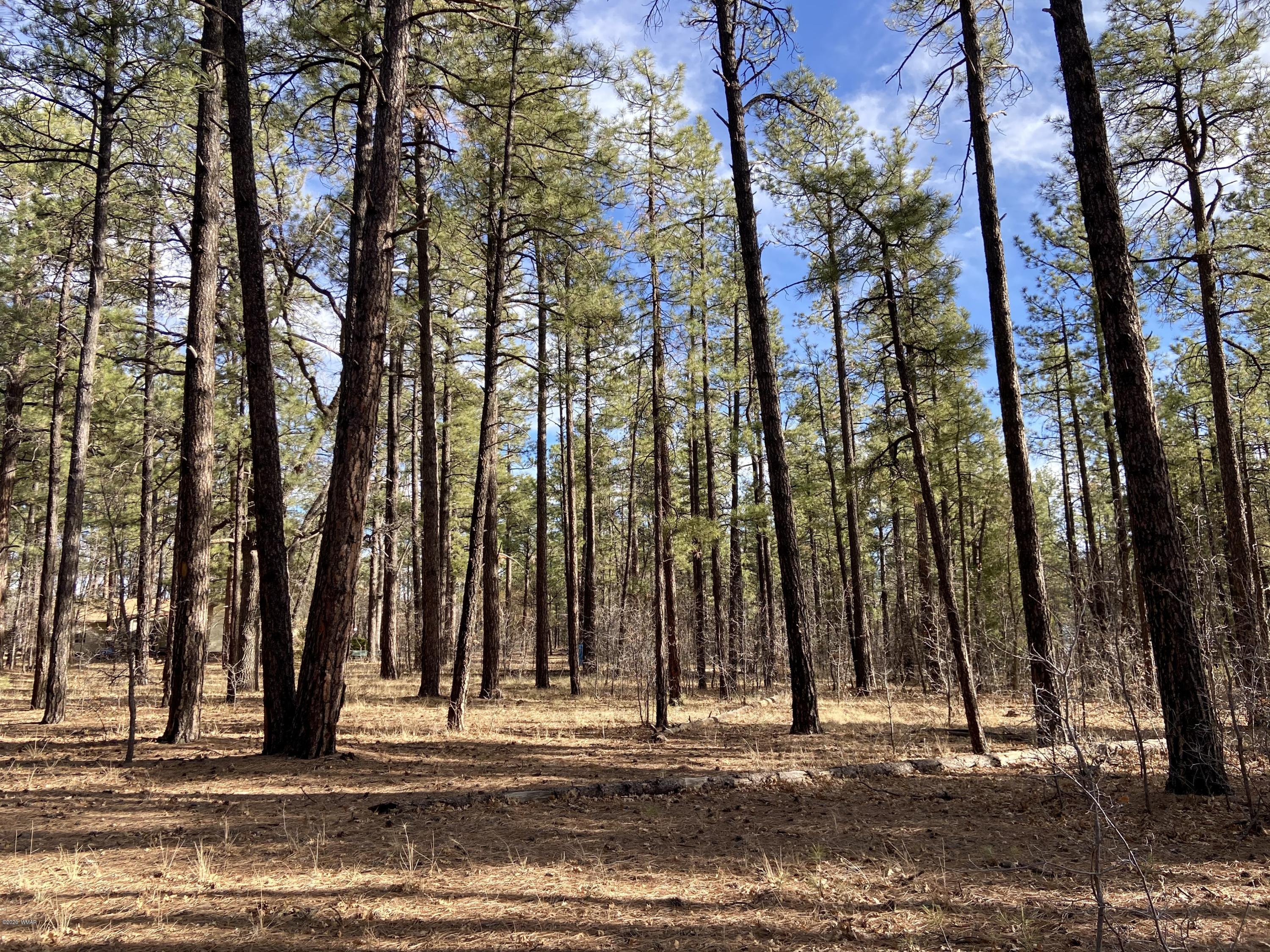 Tbd West Tbd W Woodland Lake Road Pinetop, AZ 85935 - Photo 4 of 13