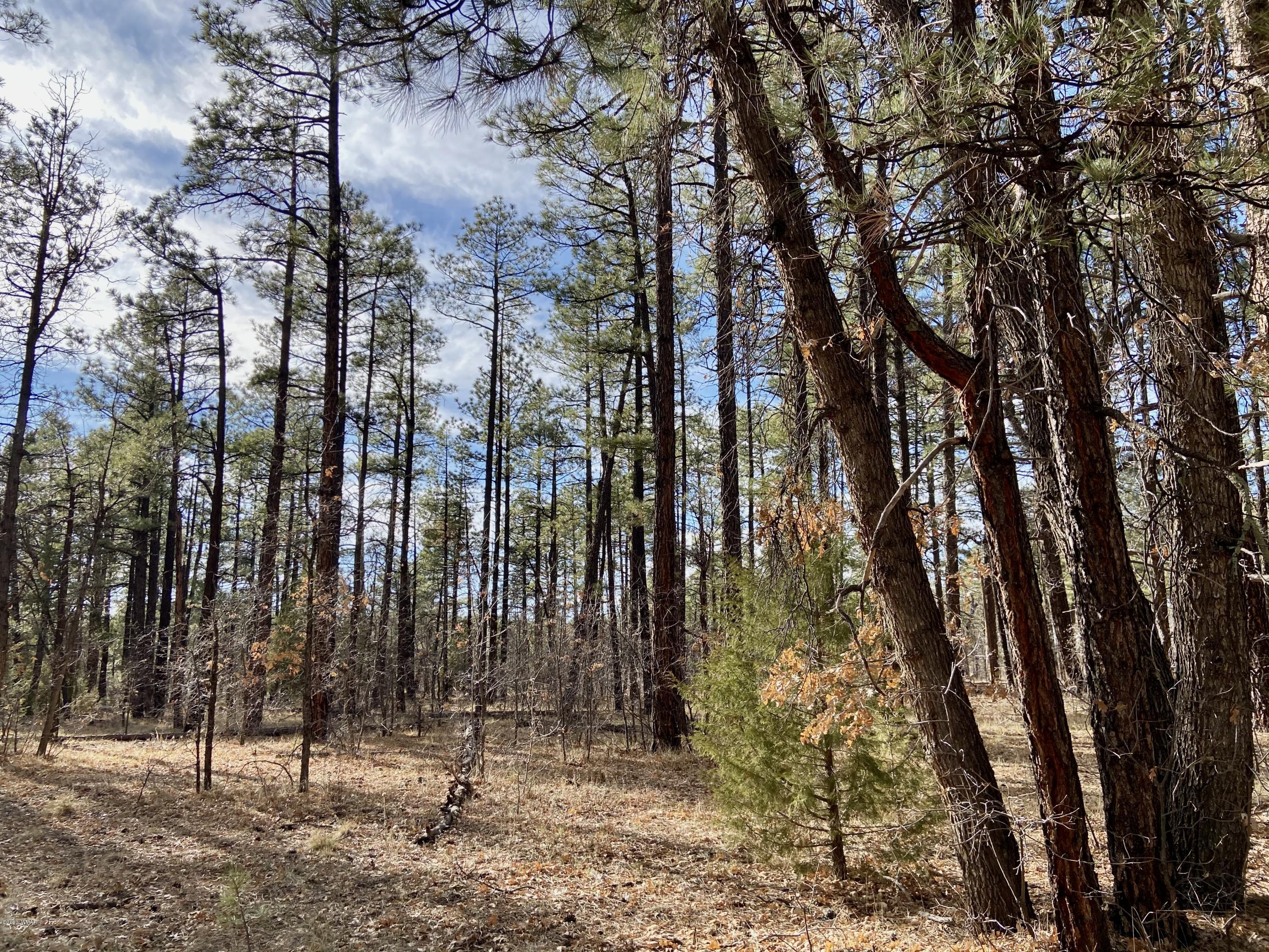 Tbd West Tbd W Woodland Lake Road Pinetop, AZ 85935 - Photo 5 of 13