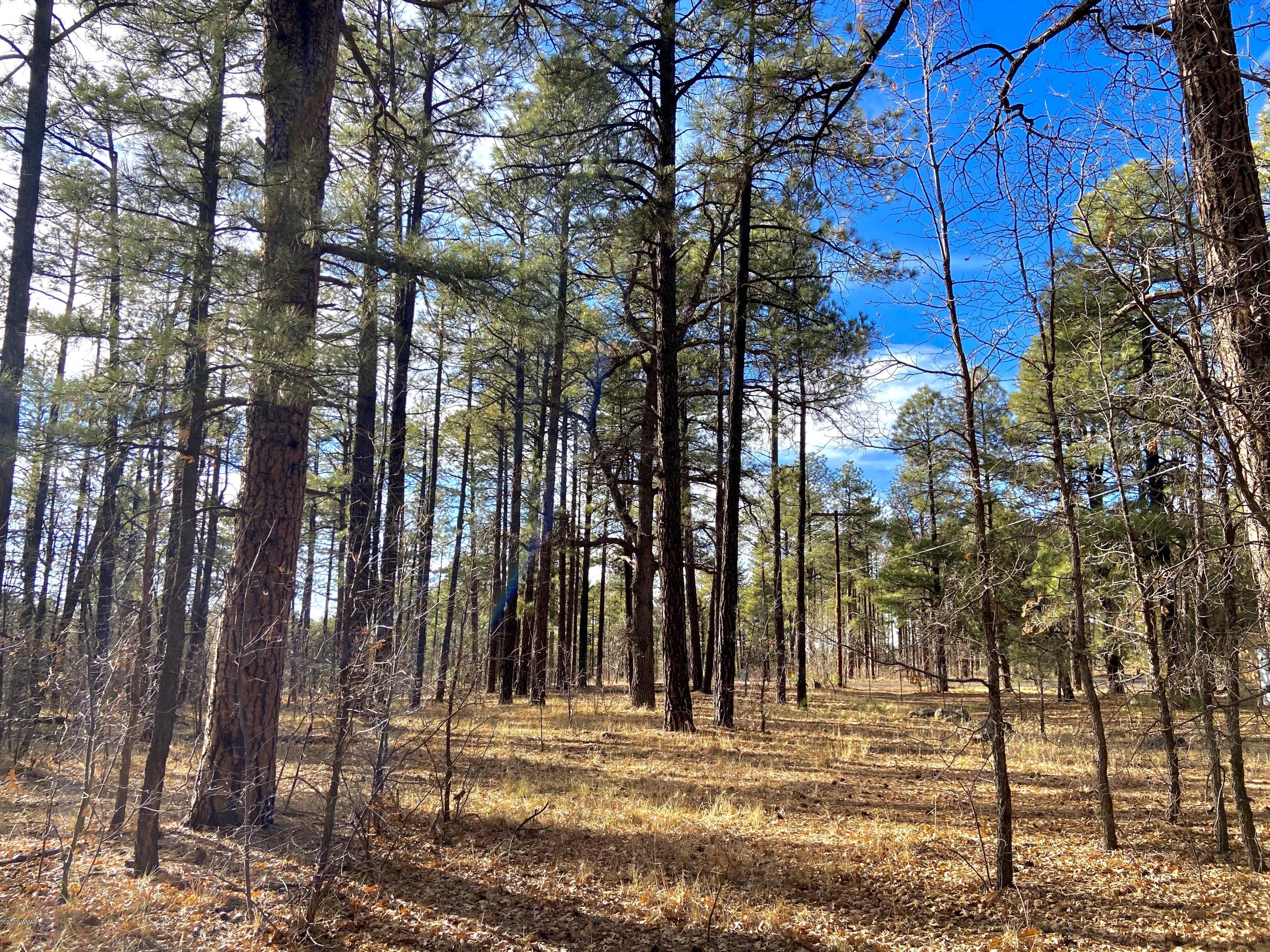 Tbd West Tbd W Woodland Lake Road Pinetop, AZ 85935 - Photo 6 of 13