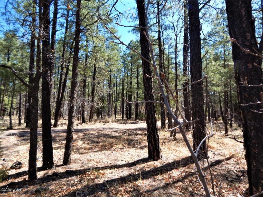Tbd West Tbd W Woodland Lake Road Pinetop, AZ 85935 - Photo 7 of 13