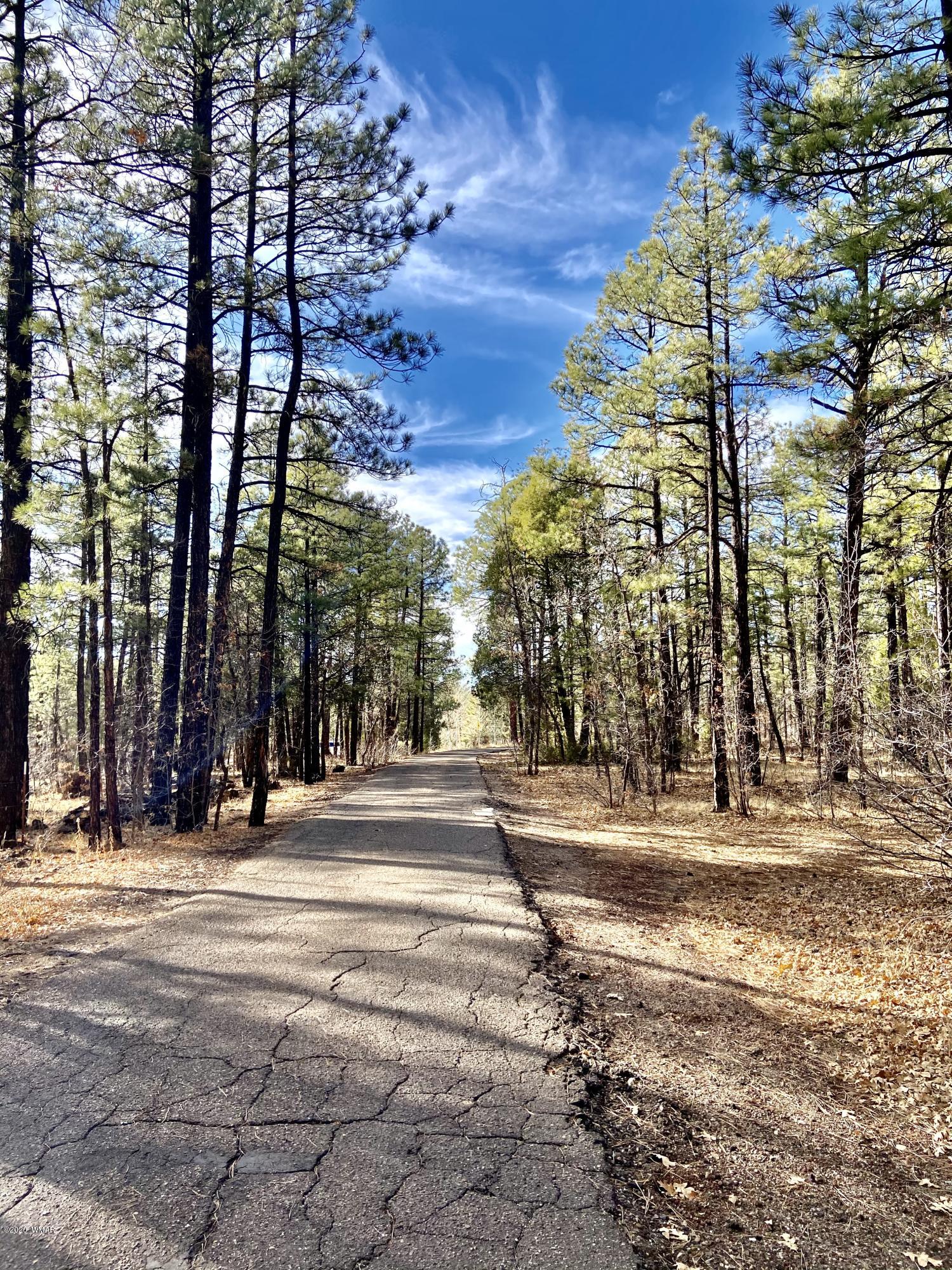 Tbd West Tbd W Woodland Lake Road Pinetop, AZ 85935 - Photo 8 of 13