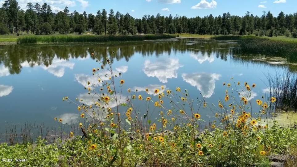 Tbd West Tbd W Woodland Lake Road Pinetop, AZ 85935 - Photo 9 of 13