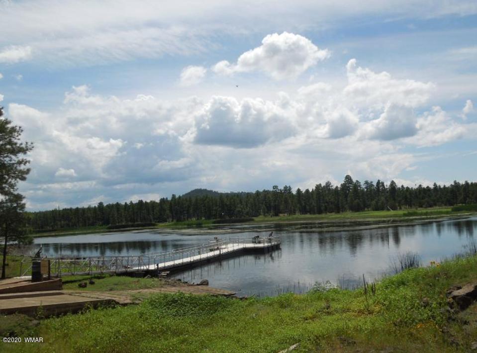 Tbd West Tbd W Woodland Lake Road Pinetop, AZ 85935 - Photo 10 of 13