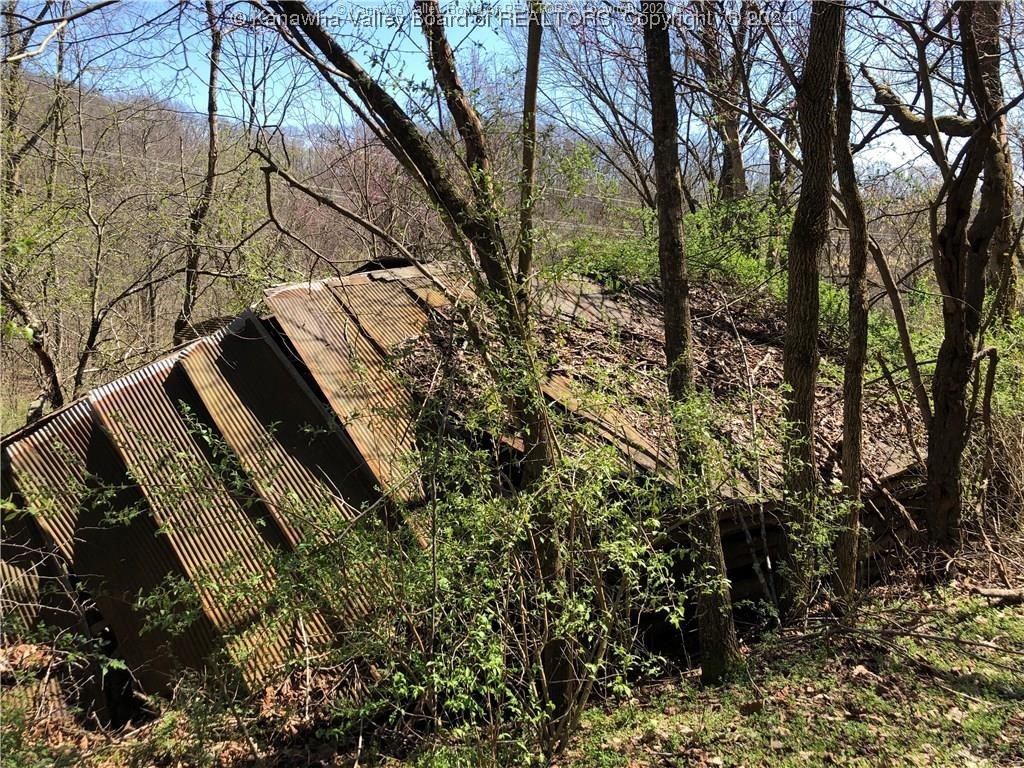 0 Tribble Ridge Road Leon, WV 25123 - Photo 8 of 18 Gallery Image 8