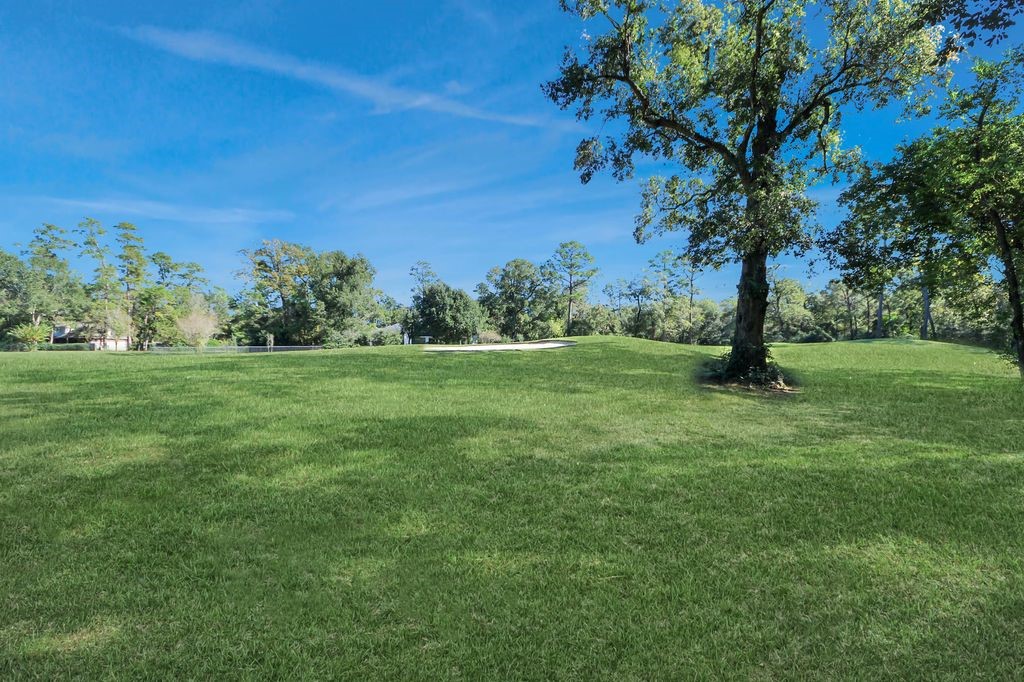 169 Grogans Point Road The Woodlands, TX 77380 - Photo 39 of 46 The view from sitting on the covered back porch is breathtaking.