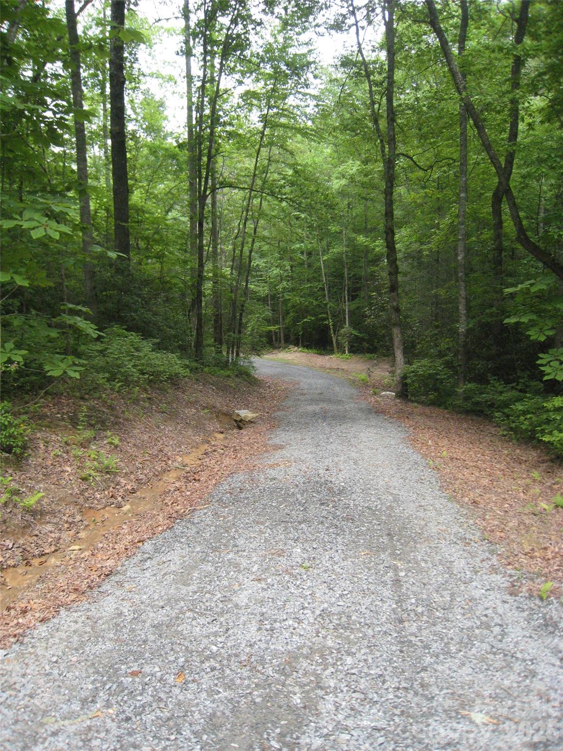 313 Line Runner Ridge Road Brevard, NC 28712 - Photo 25 of 33