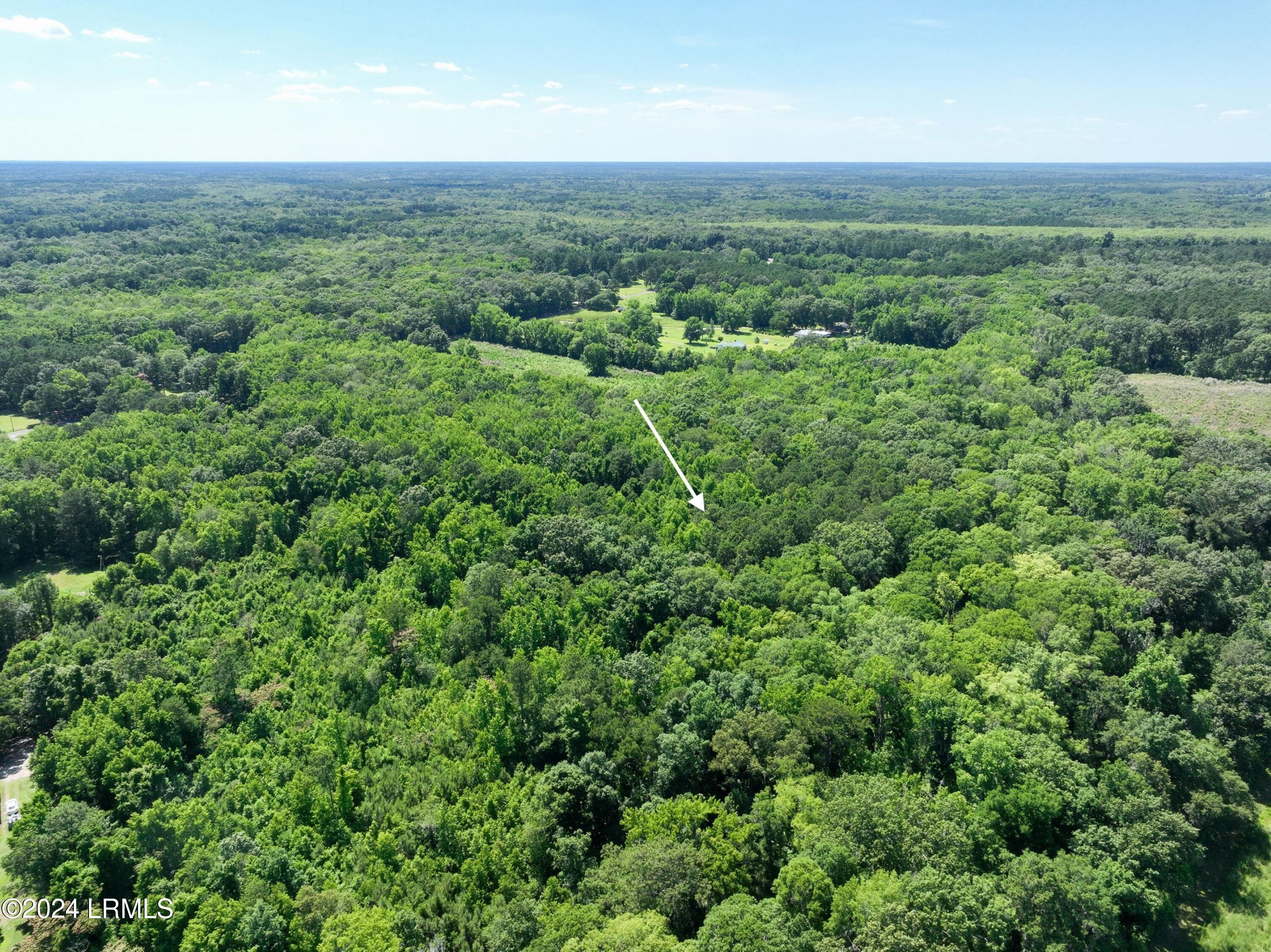 93 Jenkins Road Yemassee, SC 29945 - Photo 5 of 13 dji_fly_20240530_154058_443_171709834968