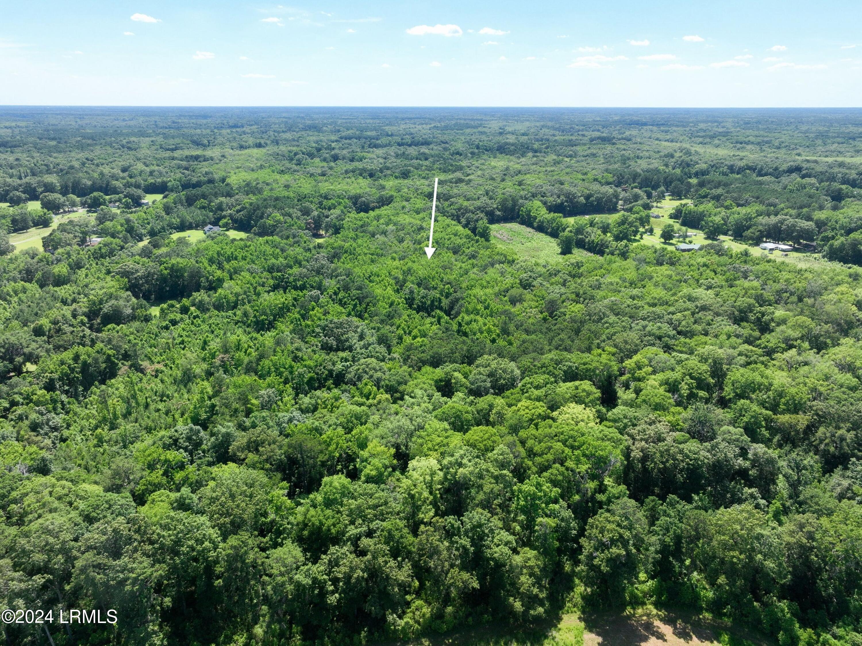 93 Jenkins Road Yemassee, SC 29945 - Photo 6 of 13 dji_fly_20240530_154110_444_171709834926