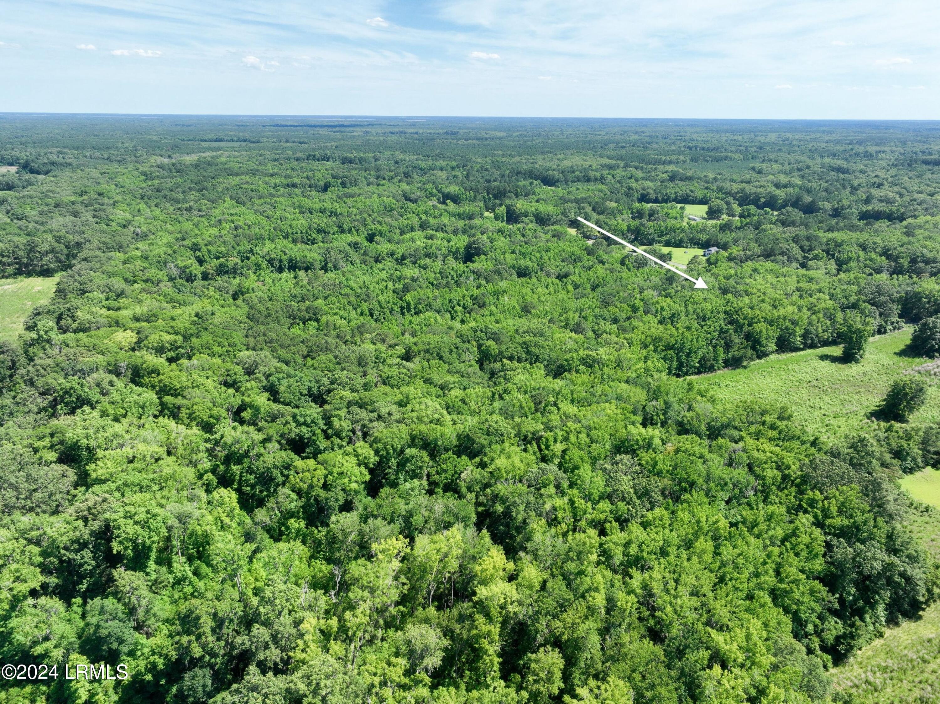 93 Jenkins Road Yemassee, SC 29945 - Photo 8 of 13 dji_fly_20240530_154146_446_171709834822
