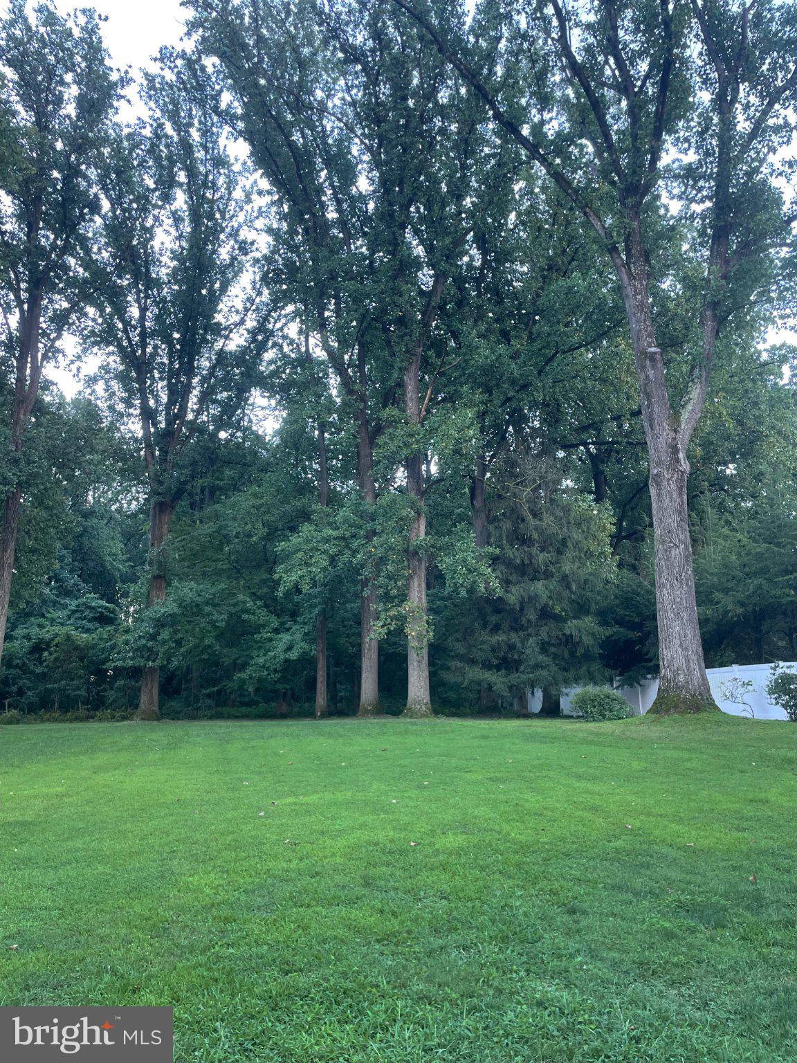 1305 Twining Road Dresher, PA 19025 - Photo 67 of 75 Backyard with lush green lawn framed by tall trees