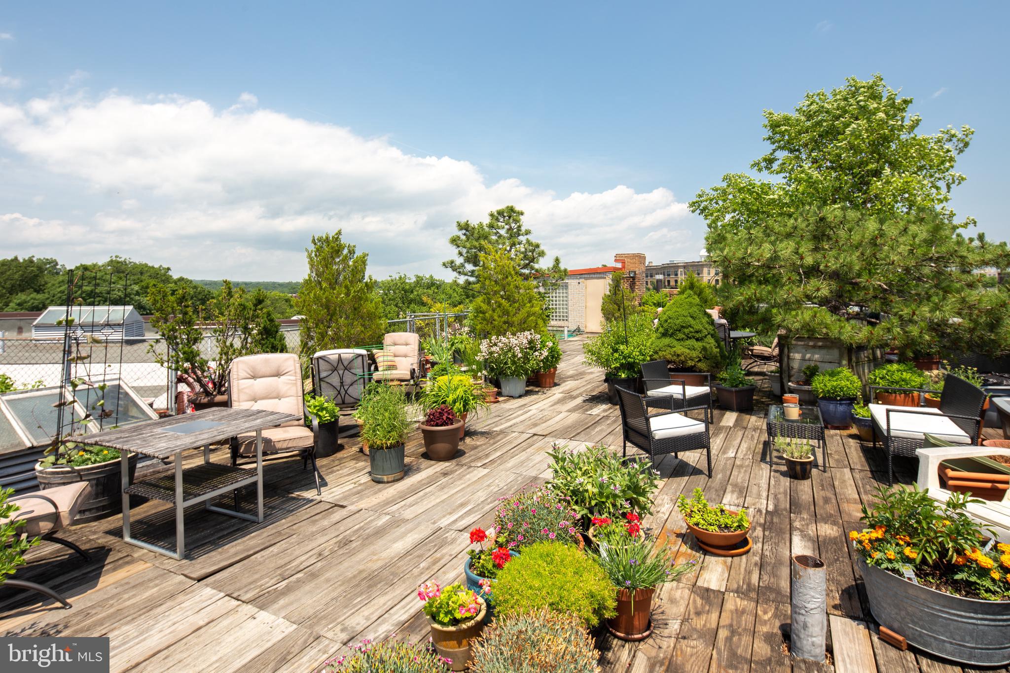 2707 Adams Mill Road Northwest, Unit 303 Washington, DC 20009 - Photo 25 of 30 a view of a tables and chairs in patio