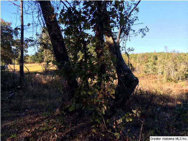 Copper Springs Road, Unit 17 Odenville, AL 35120 - Photo 6 of 7