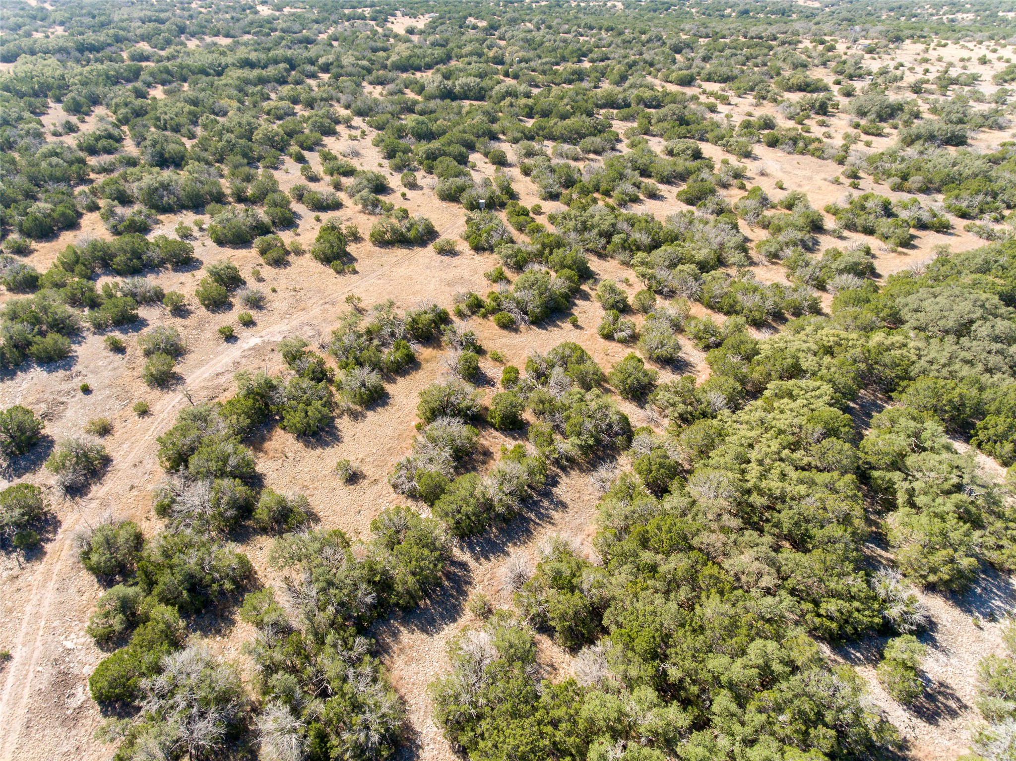 2010 Sd24740 Rocksprings, TX 78880 - Photo 14 of 29 a view of a dry yard