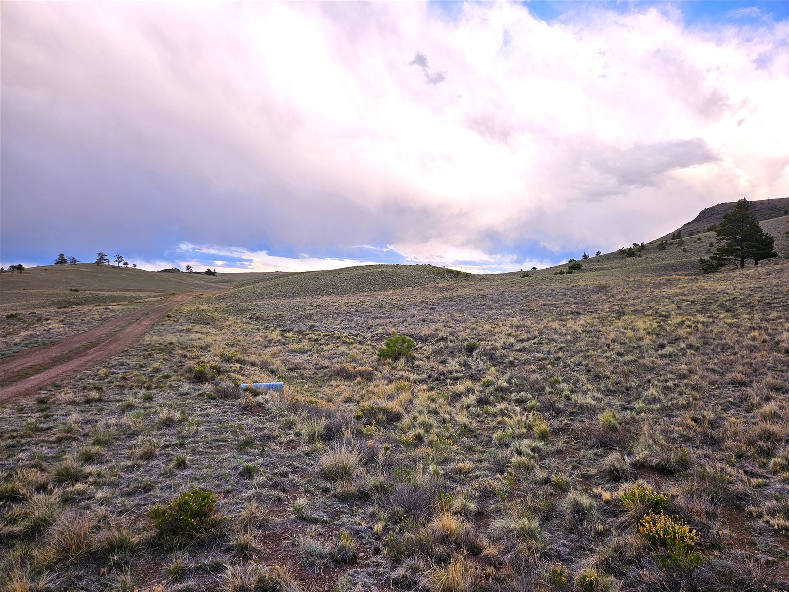 Pcs#25427 Yuma Road Hartsel, CO 80449 - Photo 14 of 29