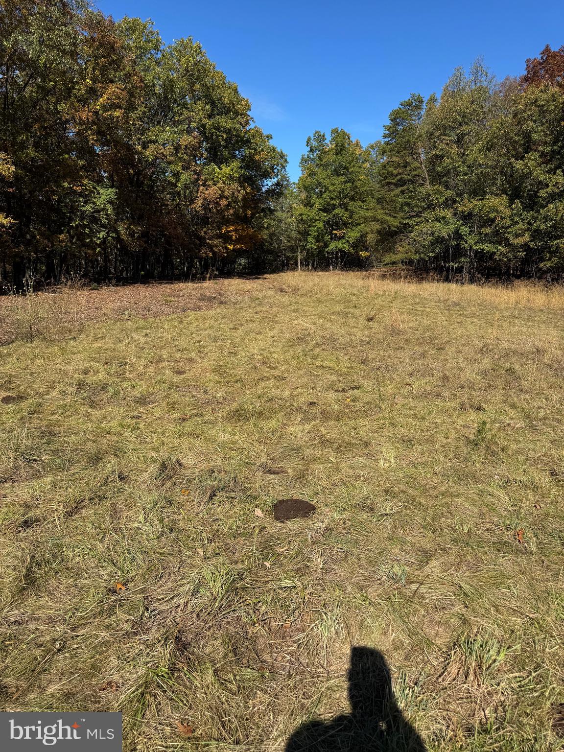 781 Dunmore Road Petersburg, WV 26847 - Photo 18 of 35