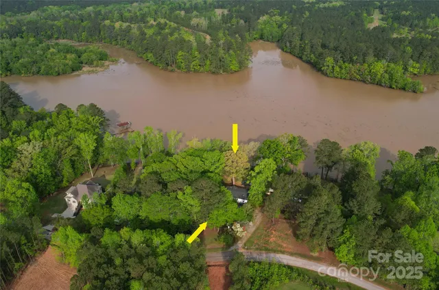 a view of a yard with an tree