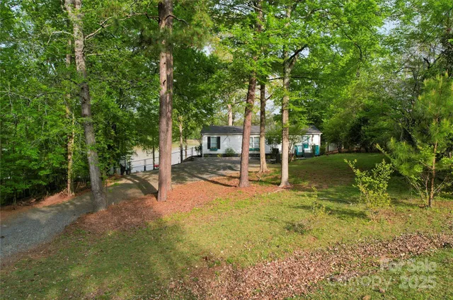 a view of a forest with trees in the background
