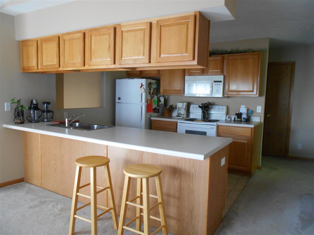 465 Mill Ridge Drive Byron, IL 61010 - Photo 3 of 8 Gallery Image 3