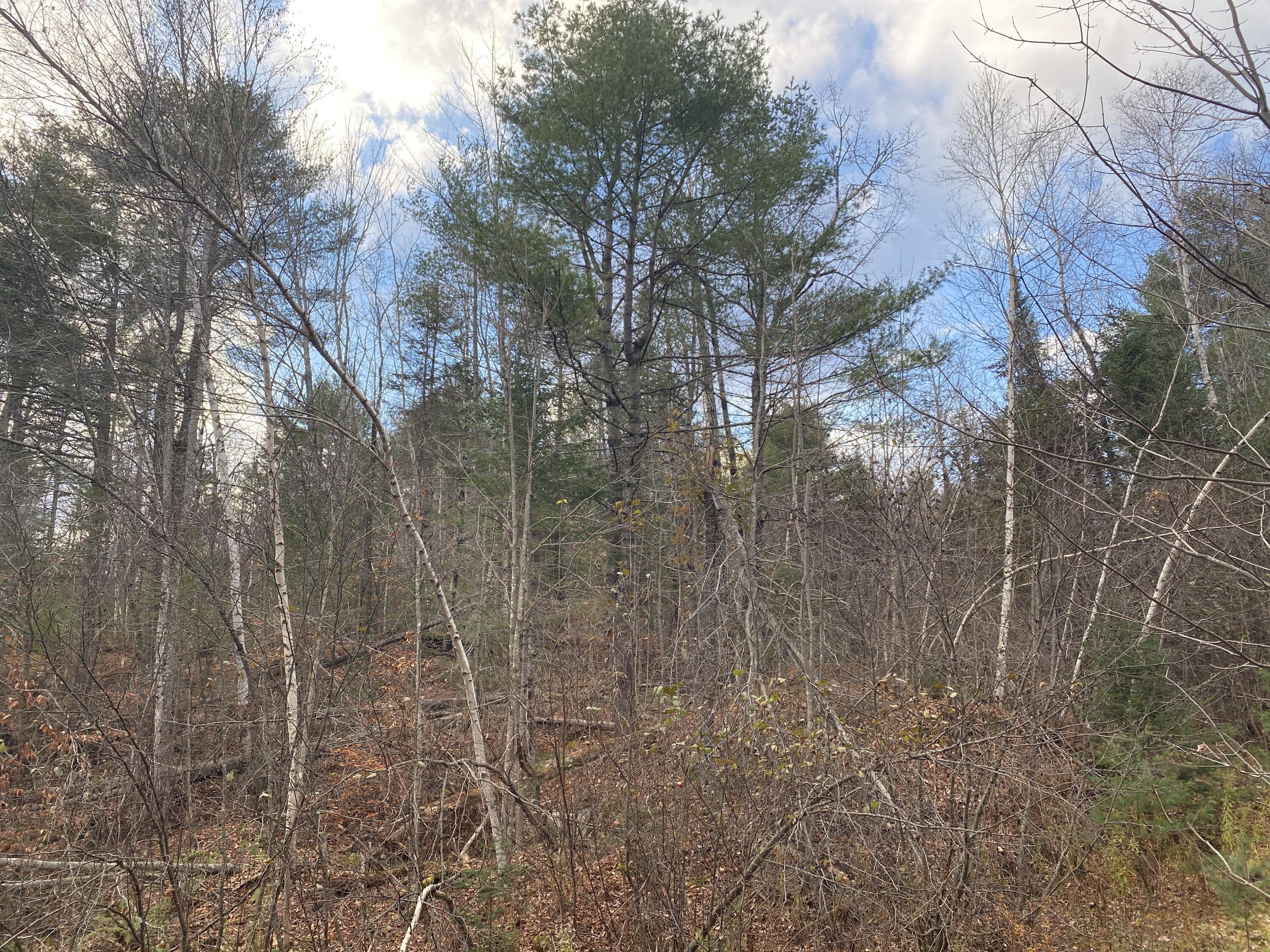 M5-l7 M5-l7 Off Old Brownville Sebec Road Sebec, ME 04481 - Photo 2 of 11 Photo Nov 10, 2 16 02 PM