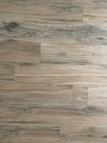 $750 | 2249 Del Carmel Way, Tallahassee, FL 32303