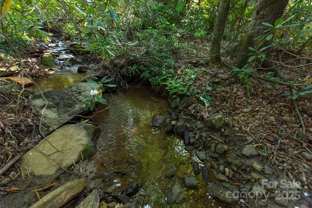 a view of a mountain in the distance in a field