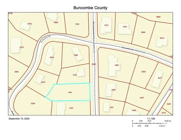 a view of a forest that has a tree