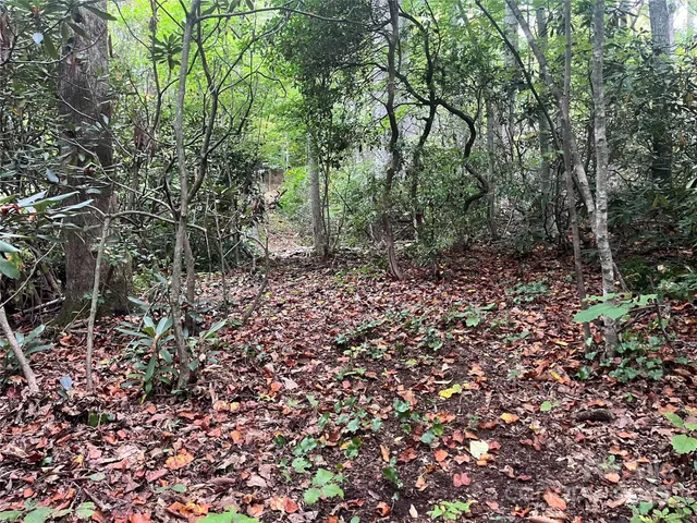 a view of outdoor space with trees all around