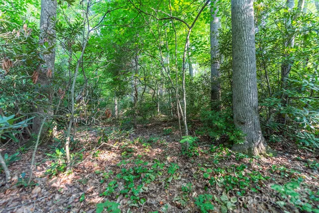 a view of a field with trees in the background