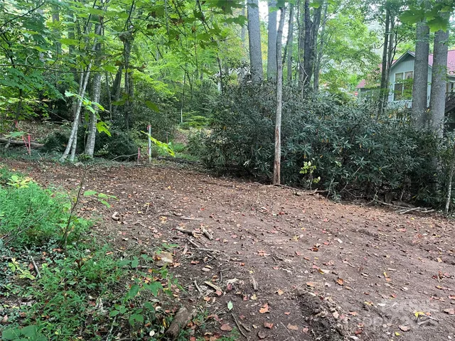 a view of a garden with plants and trees