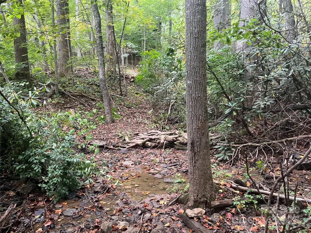 a view of lake with green space