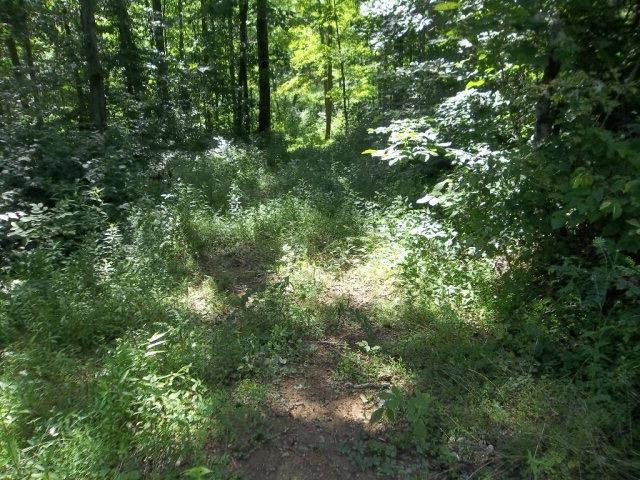 1 Big Run Road Wallingford, KY 41093 - Photo 8 of 15 Photo 8