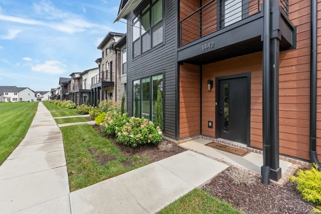 a view of a garden with potted plants