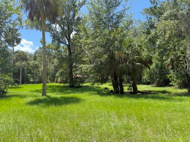 331 Southwest 3rd Street Bronson, FL 32621 - Photo 25 of 25 Gallery Image 25