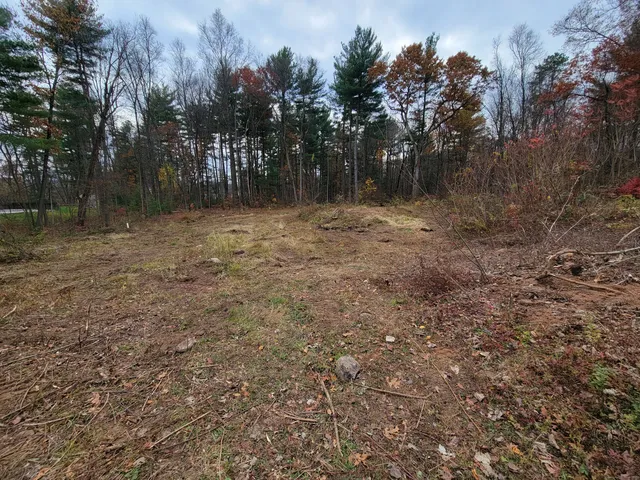 a view of a yard with a tree
