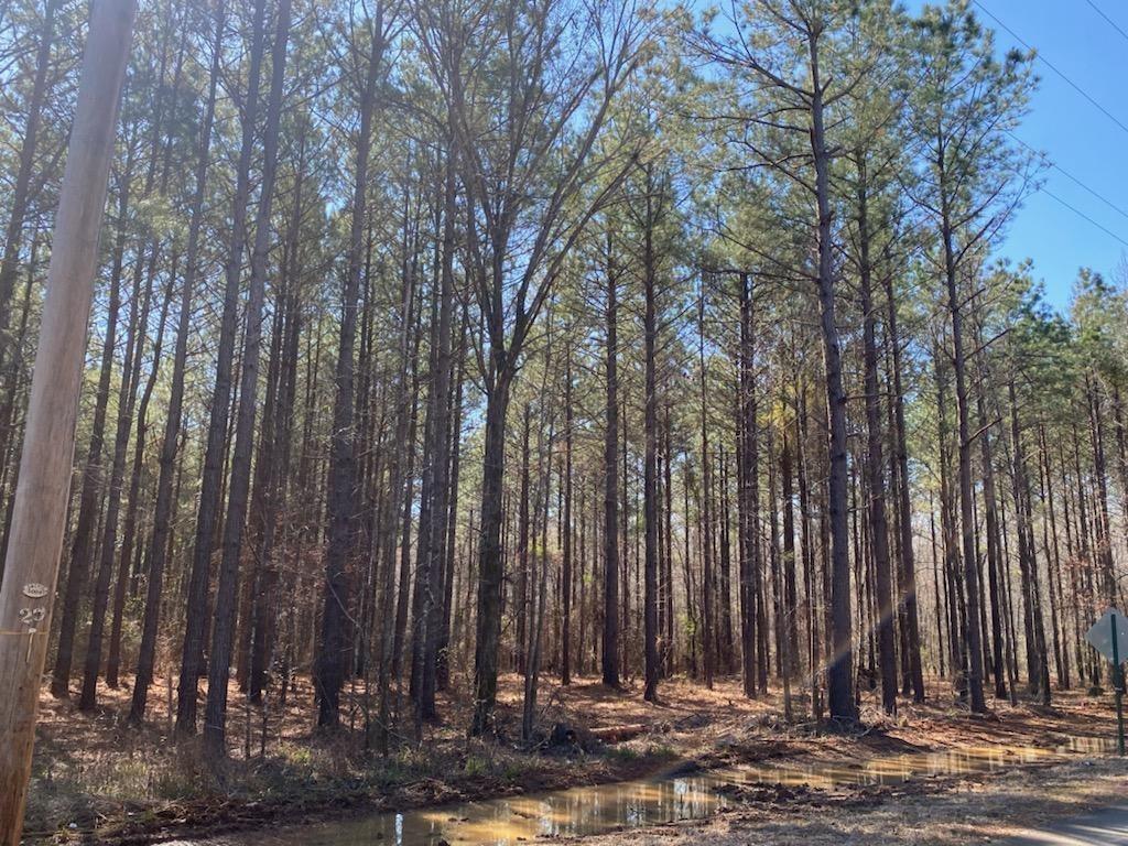 460 Cotton Valley Road Haughton, LA 71037 - Photo 1 of 1 a view of a building with trees in the background