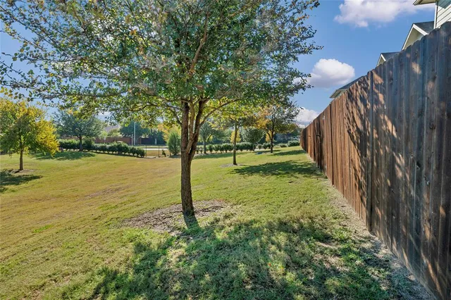 a view of a yard with plants