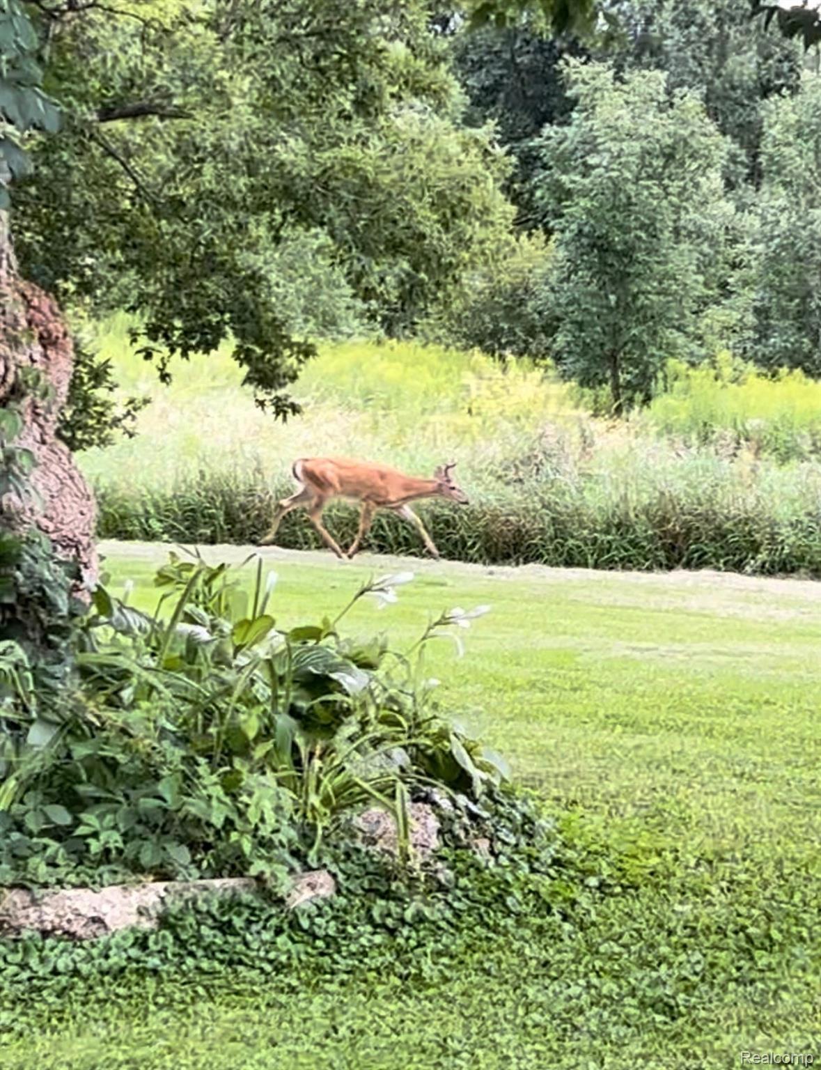 1285 South Cummings Road Davison, MI 48423 - Photo 22 of 68 IMG_6816.jpeg