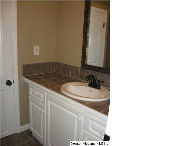 237 Paradise Way Wilsonville, AL 35186 - Photo 8 of 16