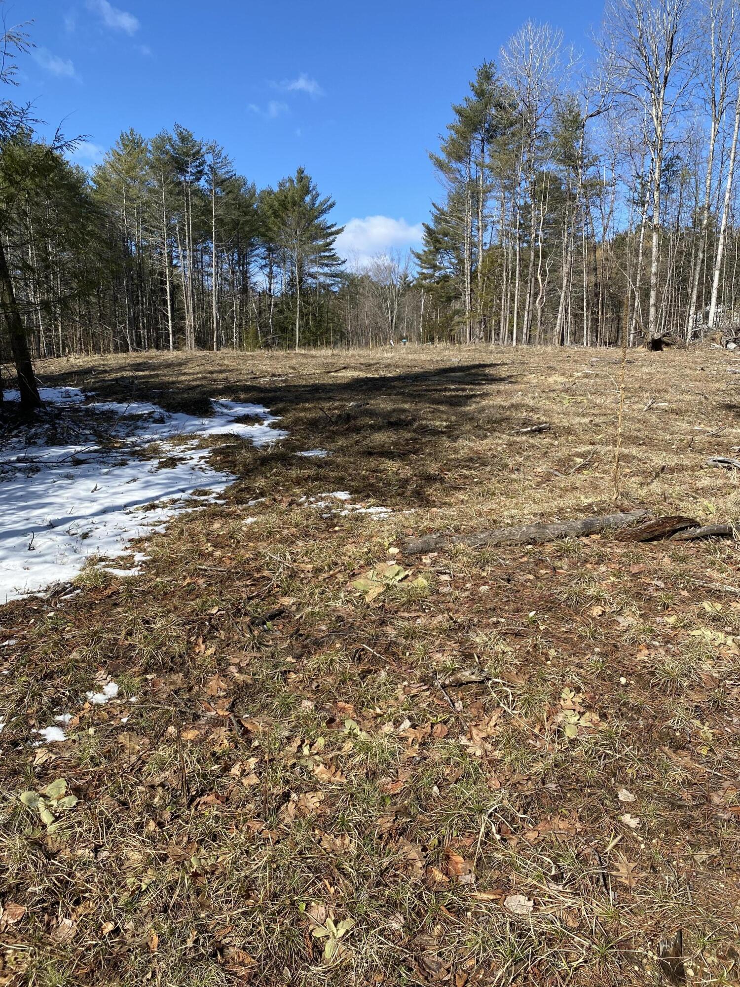 530 Fox Run Road Lewis, NY 12950 - Photo 1 of 11 IMG_2510