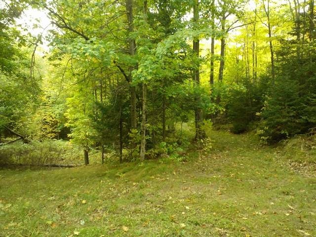 Lot 1 Pine Lake Road Rhinelander, WI 54501 - Photo 6 of 10 Gallery Image 6