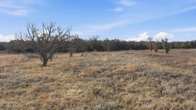 a view of an outdoor space and trees