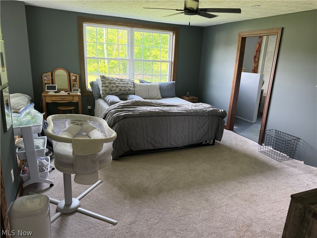 13166 Butternut Road Burton, OH 44021 - Photo 23 of 43