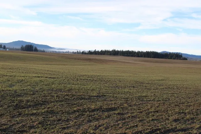 $165,000 | 3450 North Spotted Road, Deer Park, WA 99006