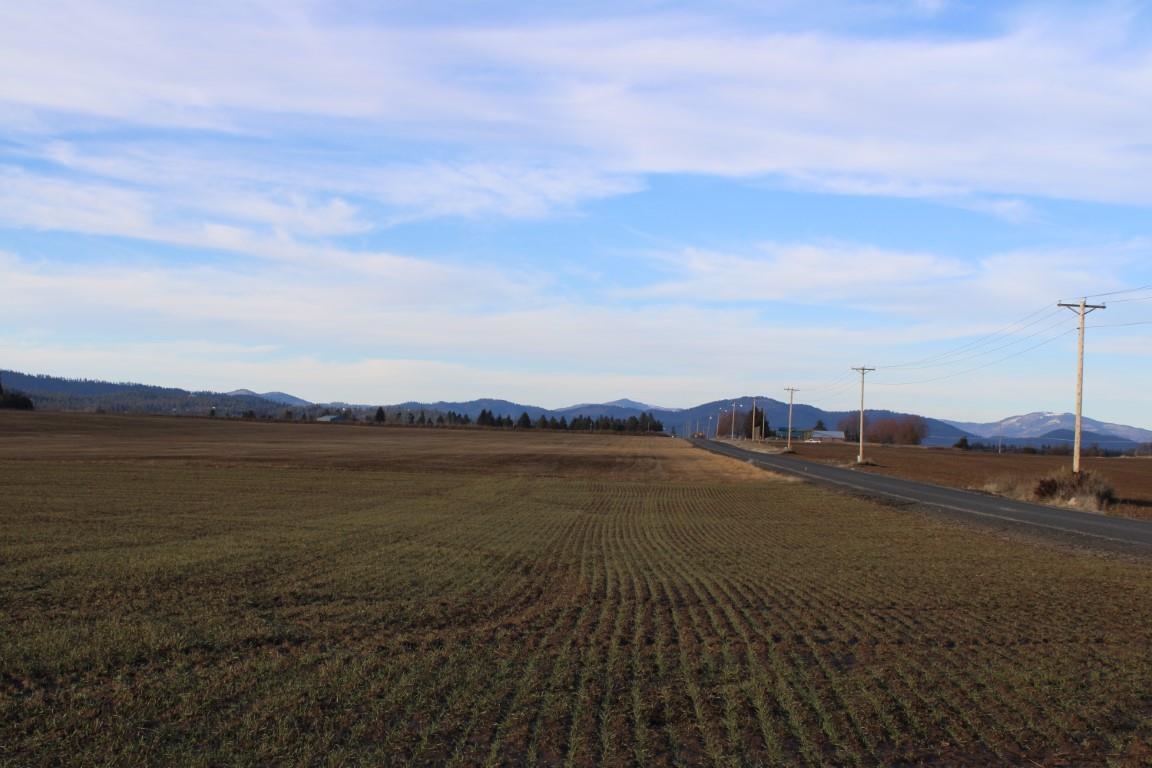 3450 North Spotted Road Deer Park, WA 99006 - Photo 4 of 9