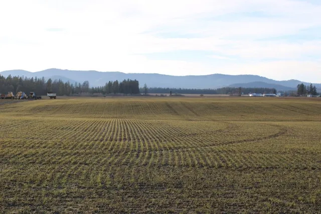 $165,000 | 3450 North Spotted Road, Deer Park, WA 99006