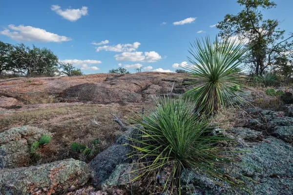 $1,326,000 | Undisclosed Address, Fredonia, TX 76842