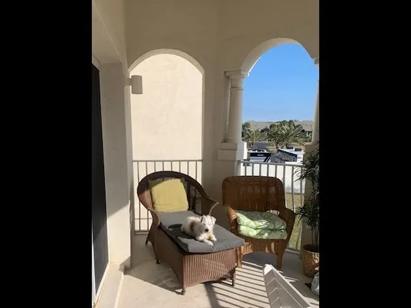 a front view of a house with garden and lots of stuff